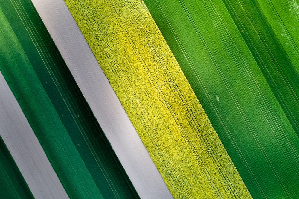 aerial imaging and mapping aerial,image,of,agricultural,field,with,different,cultures,and,colors
